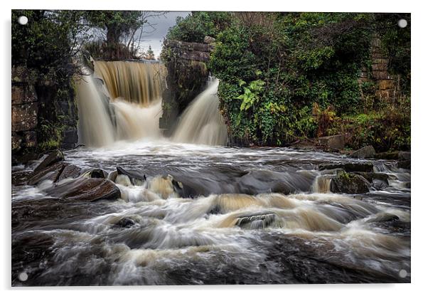  Penllergare waterfalls Swansea Acrylic by Leighton Collins