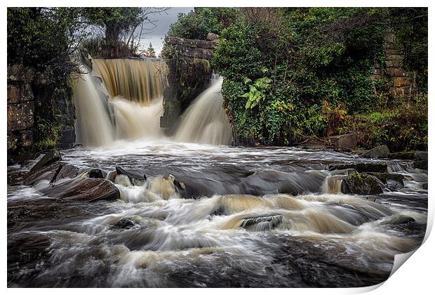  Penllergare waterfalls Swansea Print by Leighton Collins