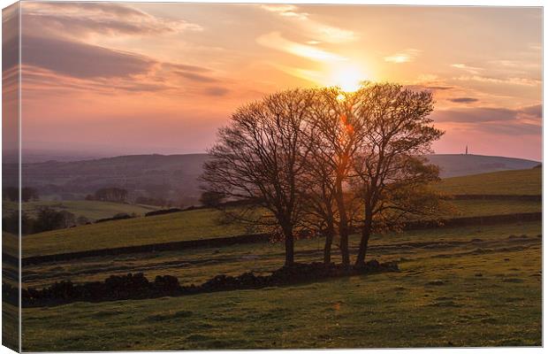  Sunset at Roachend Canvas Print by Mark Ollier