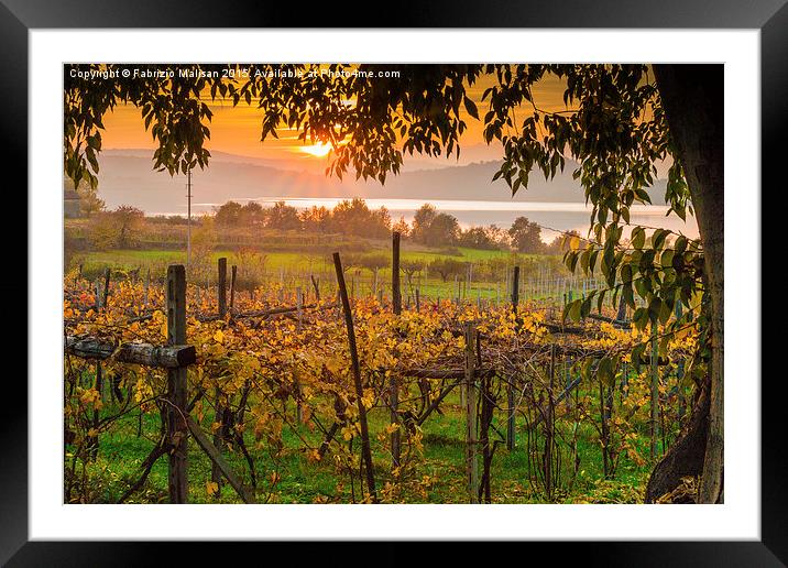 Evening comes over the lake and vineyards Framed Mounted Print by Fabrizio Malisan