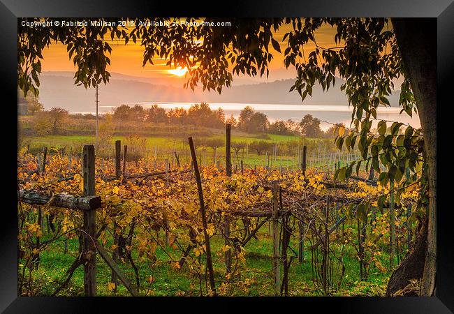 Evening comes over the lake and vineyards Framed Print by Fabrizio Malisan