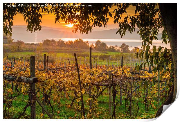 Evening comes over the lake and vineyards Print by Fabrizio Malisan