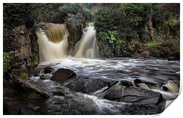  Swollen Penllergare Waterfall Print by Leighton Collins
