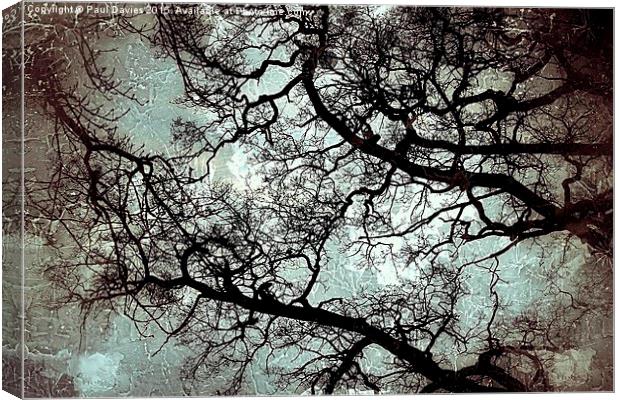  Veins Of Nature Canvas Print by Paul Davies