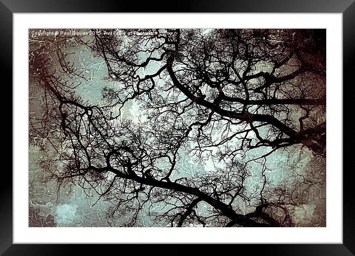  Veins Of Nature Framed Mounted Print by Paul Davies