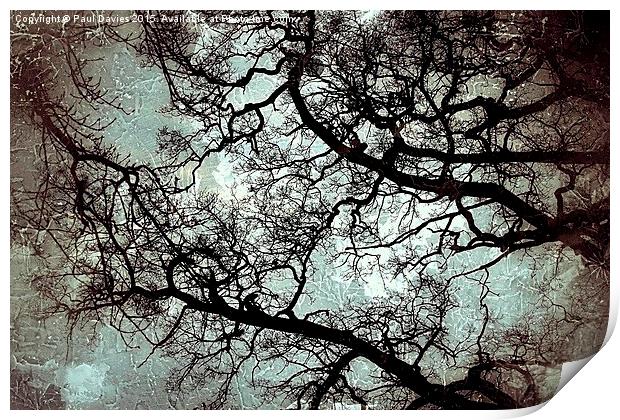  Veins Of Nature Print by Paul Davies