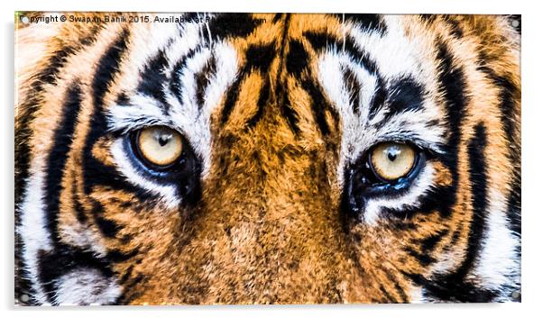 A close eye contact with the Royal Acrylic by Swapan Banik