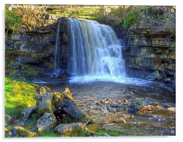  East Gill Force, Keld, Yorkshire Dales Acrylic by Colin Williams Photography