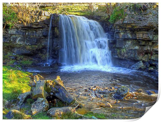  East Gill Force, Keld, Yorkshire Dales Print by Colin Williams Photography