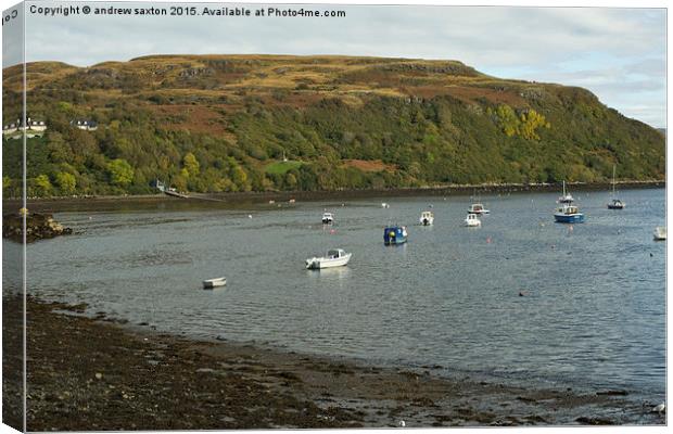  PORTREE HARBOUR  Canvas Print by andrew saxton