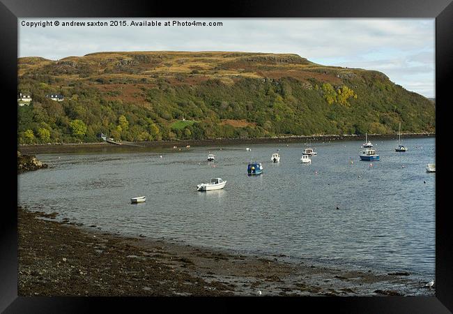  PORTREE HARBOUR  Framed Print by andrew saxton