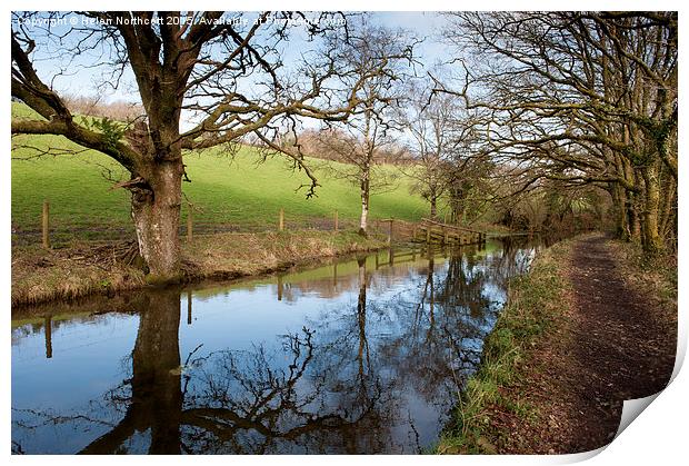 Canal Reflections Print by Helen Northcott