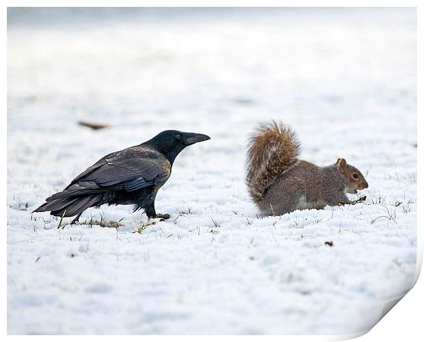 Crow and Squirrel Print by Victor Burnside