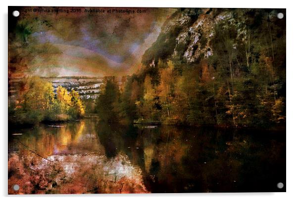 On Golden Lake Acrylic by sylvia scotting