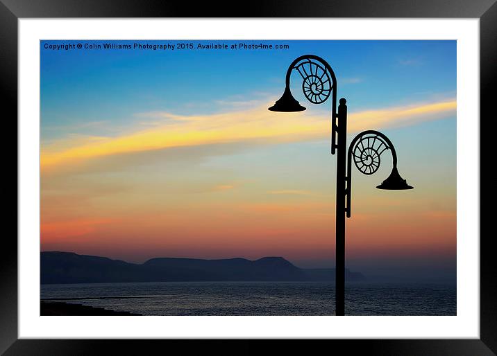  Evening Light Lyme Regis  Framed Mounted Print by Colin Williams Photography