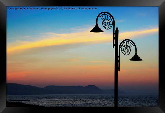  Evening Light Lyme Regis  Framed Print by Colin Williams Photography