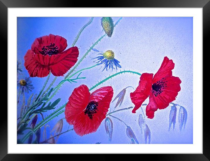  Wild Poppy Drawing Effect Photograph Framed Mounted Print by Sue Bottomley