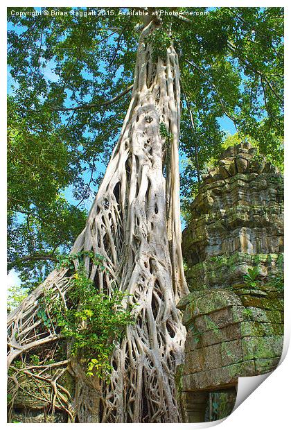 Banyan Tree Angkor Print by Brian  Raggatt