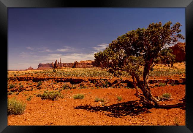 Monument Valley Framed Print by Thomas Schaeffer