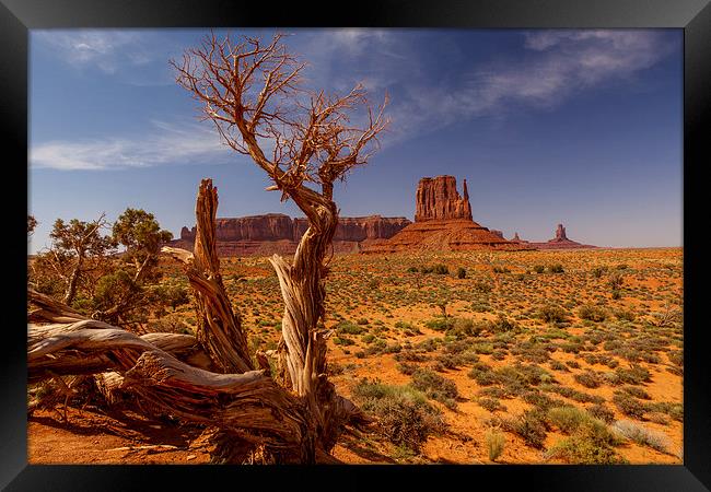 Monument Valley Framed Print by Thomas Schaeffer