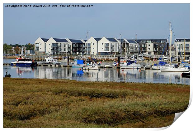  Brightlingsea Marina from St Osyth Print by Diana Mower
