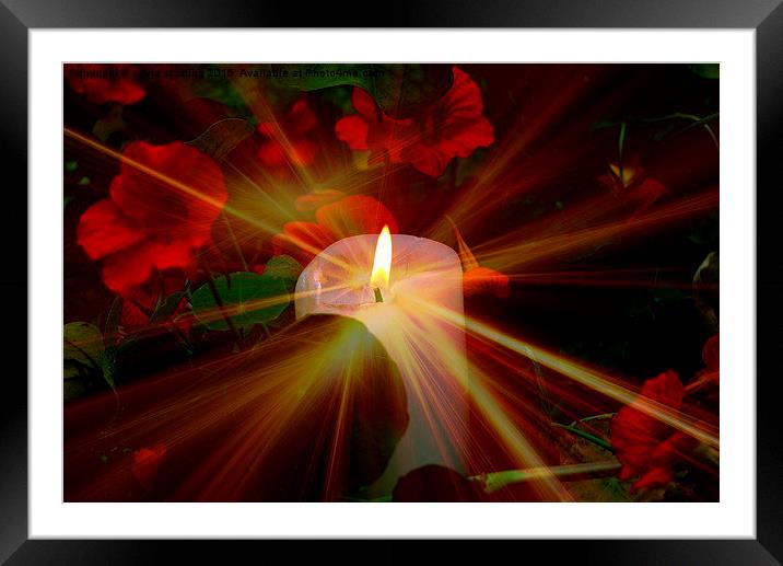  Candle in the night for world peace Framed Mounted Print by sylvia scotting