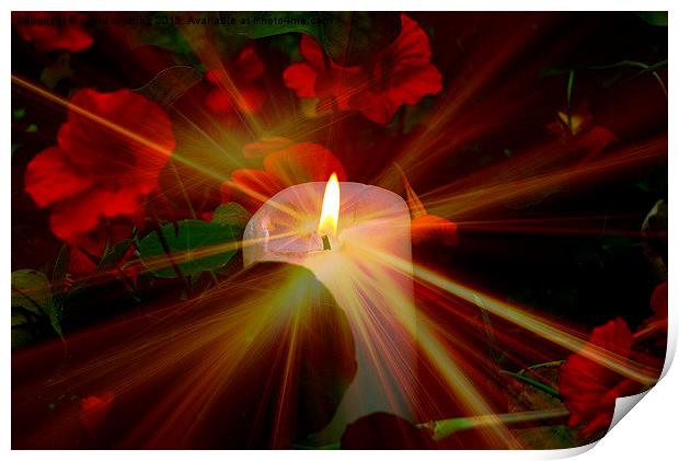 Candle in the night for world peace Print by sylvia scotting