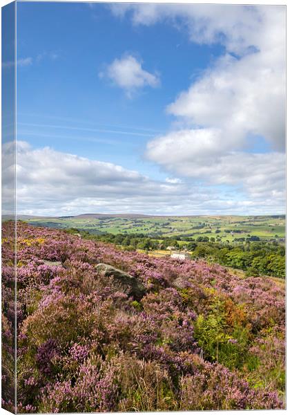 Norland, Halifax, West Yorkshire, UK 5th September Canvas Print by chris smith