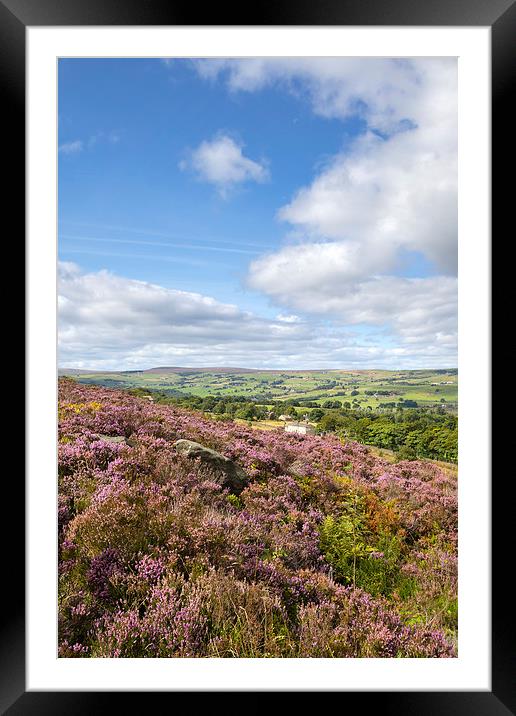 Norland, Halifax, West Yorkshire, UK 5th September Framed Mounted Print by chris smith