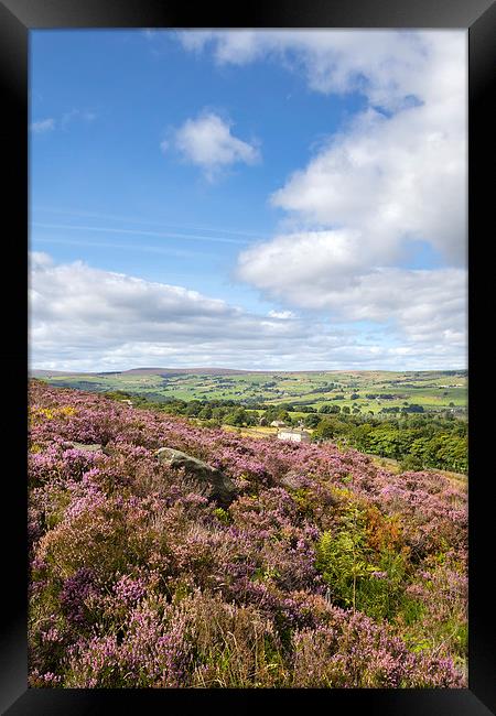 Norland, Halifax, West Yorkshire, UK 5th September Framed Print by chris smith