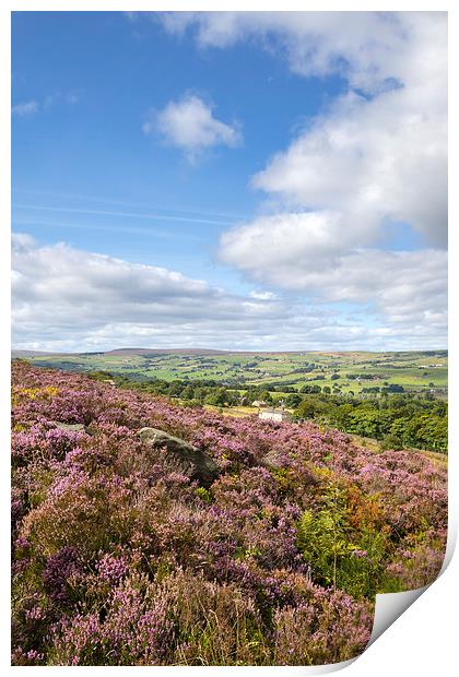 Norland, Halifax, West Yorkshire, UK 5th September Print by chris smith