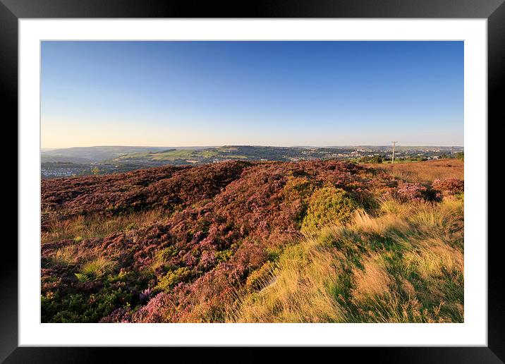 Heather landscape. Framed Mounted Print by chris smith