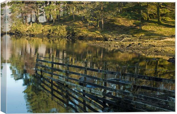  GOING IN THE WATER  Canvas Print by andrew saxton