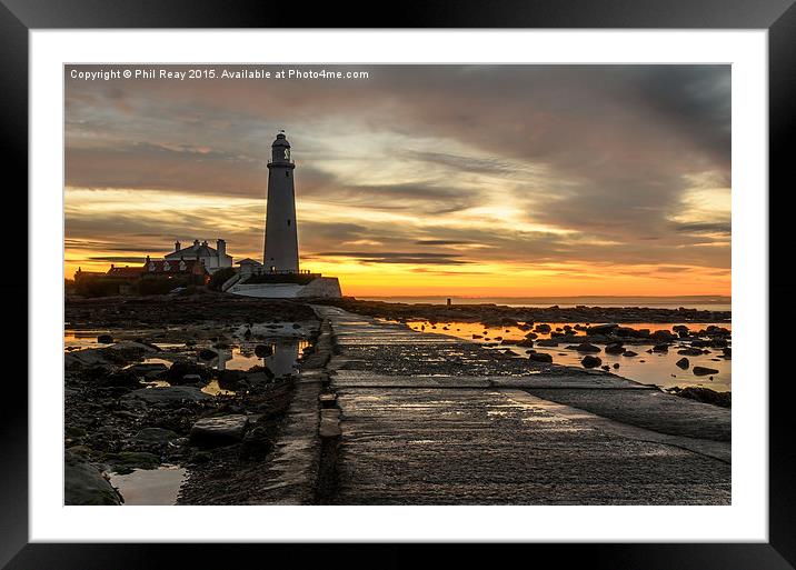  Low tide at St Mary`s Framed Mounted Print by Phil Reay