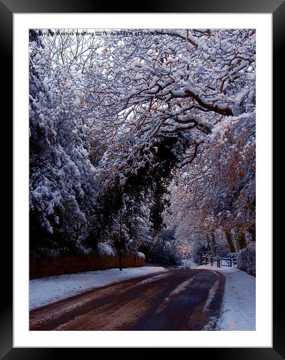 A winters tale Framed Mounted Print by sylvia scotting