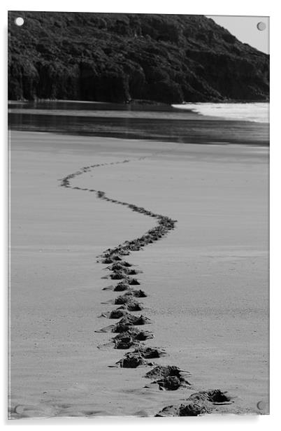 Footsteps Acrylic by geraint jones