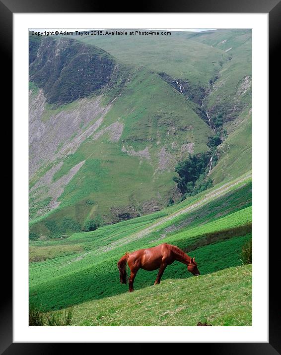  Brown horse at Cautley spout Framed Mounted Print by Adam Taylor