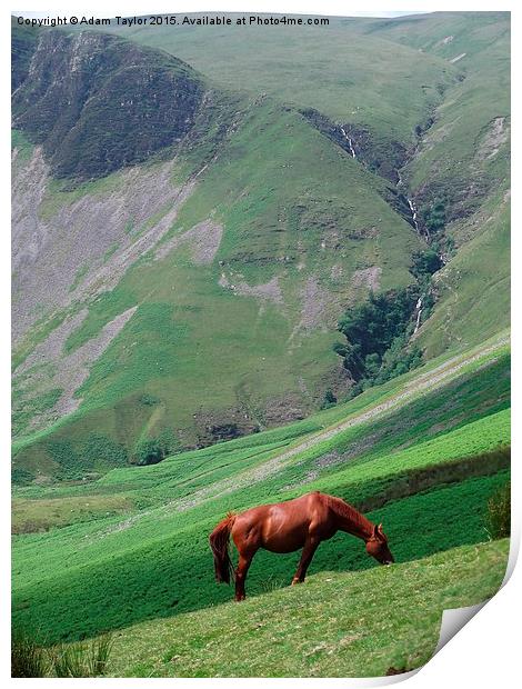  Brown horse at Cautley spout Print by Adam Taylor