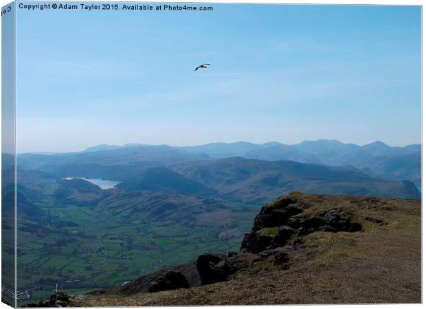  Flying free over Blencathra Canvas Print by Adam Taylor