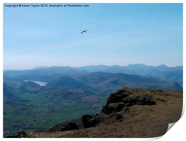  Flying free over Blencathra Print by Adam Taylor