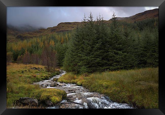 Autumn Stream Framed Print by kevin wise