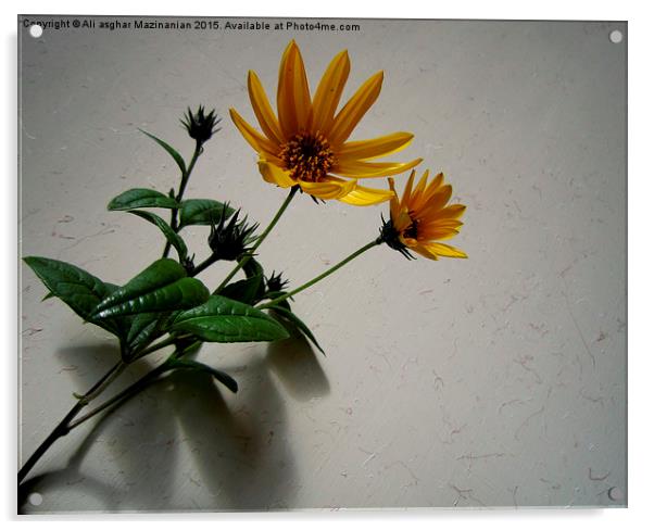 Sunflower , Acrylic by Ali asghar Mazinanian