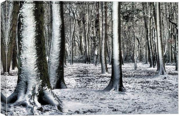Winter Wonderland Canvas Print by RJ Bowler