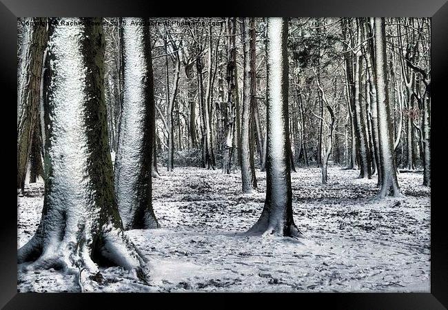 Winter Wonderland Framed Print by RJ Bowler