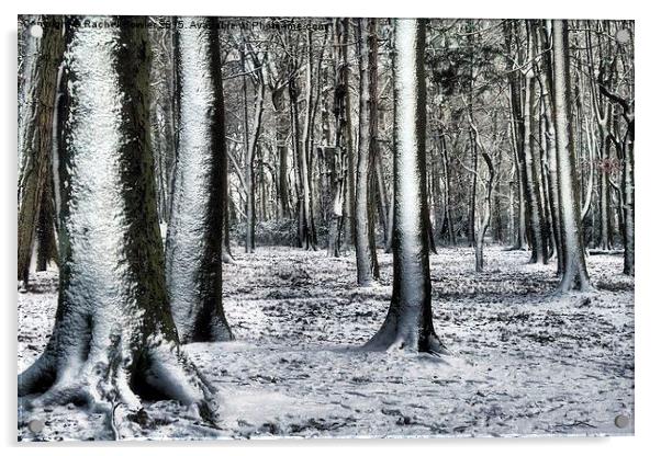 Winter Wonderland Acrylic by RJ Bowler