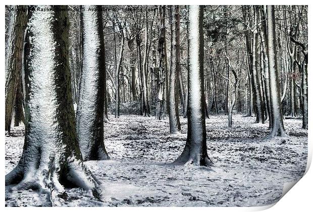 Winter Wonderland Print by RJ Bowler