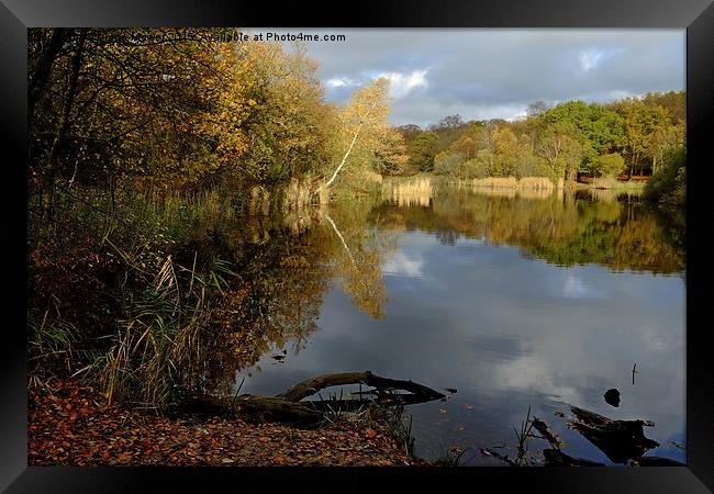  Wake Valley Pond Epping Framed Print by Diana Mower