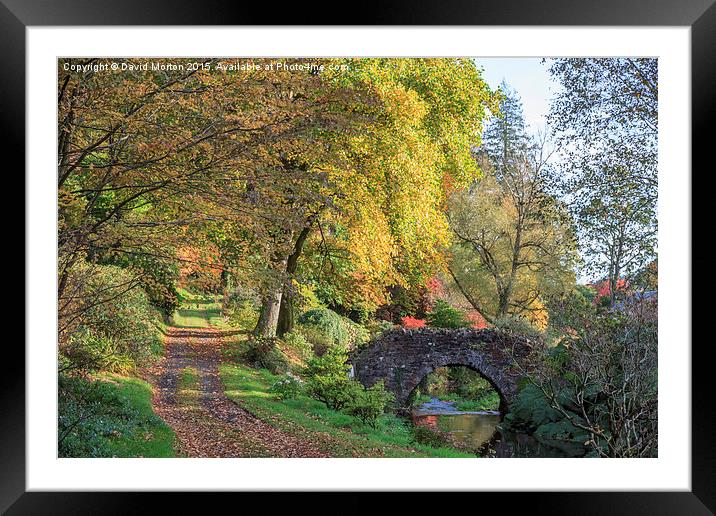  Autumn at Castle Hill Gardens Framed Mounted Print by David Morton