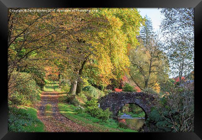  Autumn at Castle Hill Gardens Framed Print by David Morton