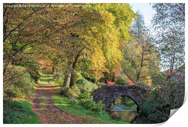  Autumn at Castle Hill Gardens Print by David Morton